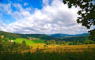 Bohemian forest